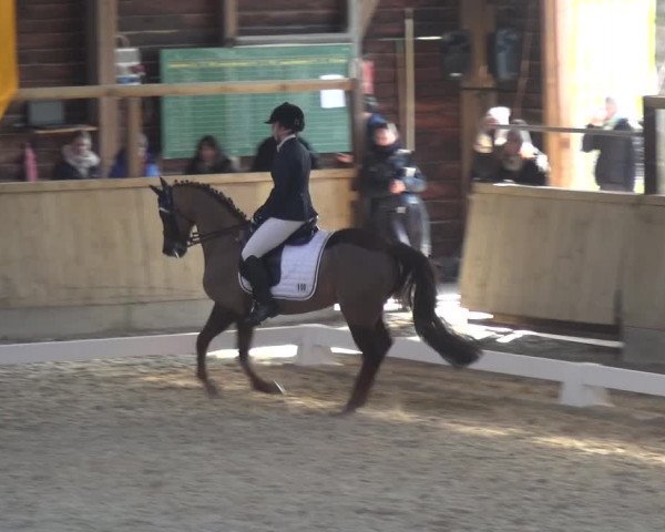 Reitturnier Heidelberg-Kirchheim 2018
