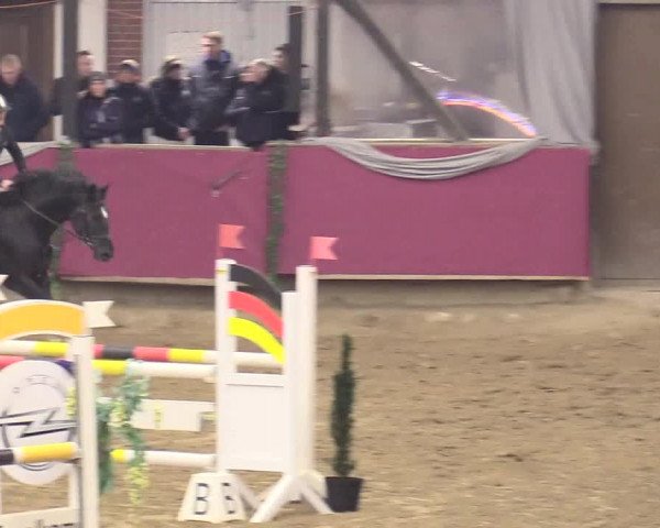 Reitturnier Vlotho-Exter 2018