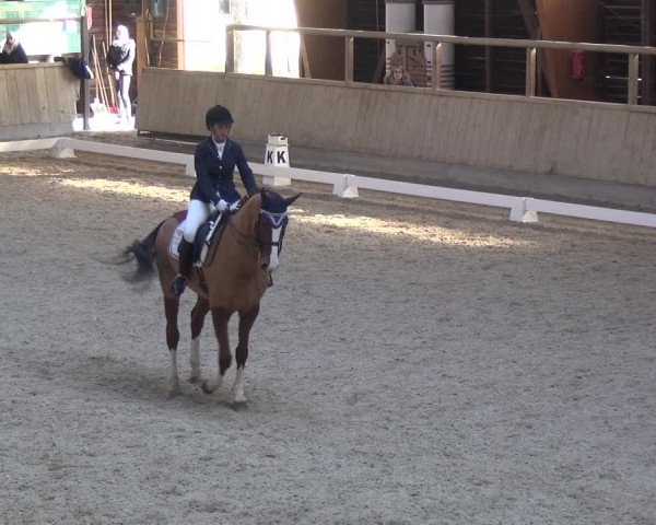 Reitturnier Heidelberg-Kirchheim 2018