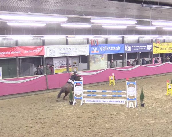 Reitturnier Vlotho-Exter 2018