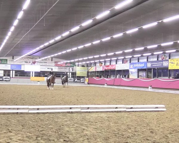 Reitturnier Vlotho-Exter 2018