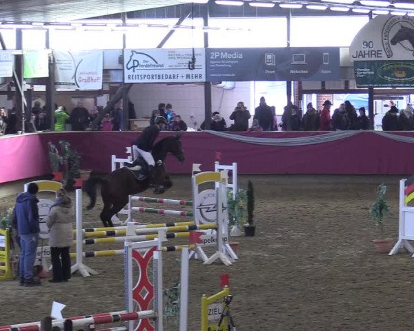 Reitturnier Vlotho-Exter 2018