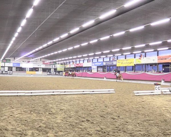 Reitturnier Vlotho-Exter 2018