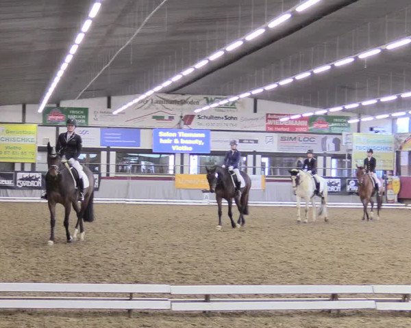 Reitturnier Vlotho-Exter 2018