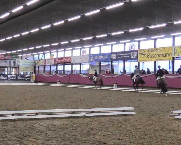 Reitturnier Vlotho-Exter 2018