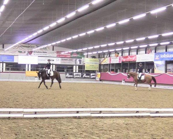 Reitturnier Vlotho-Exter 2018