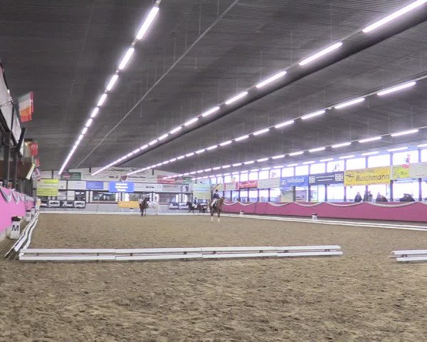Reitturnier Vlotho-Exter 2018