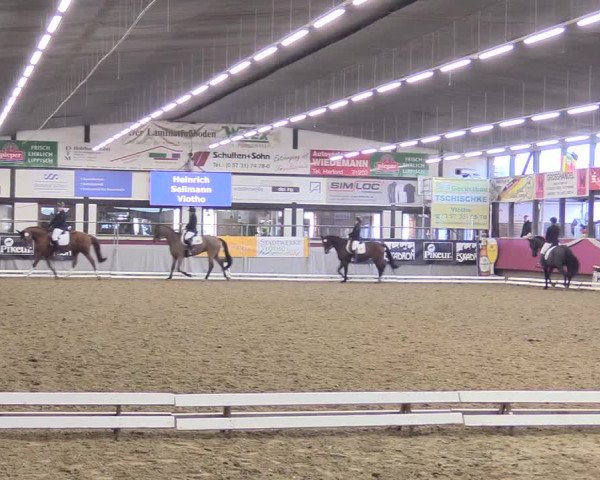 Reitturnier Vlotho-Exter 2018