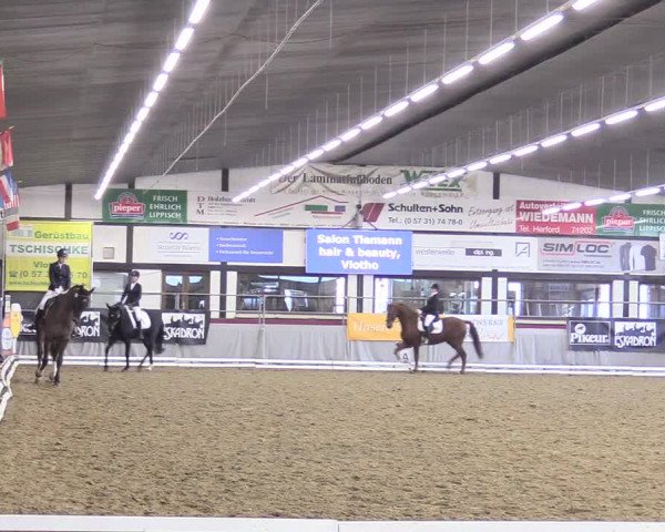 Reitturnier Vlotho-Exter 2018