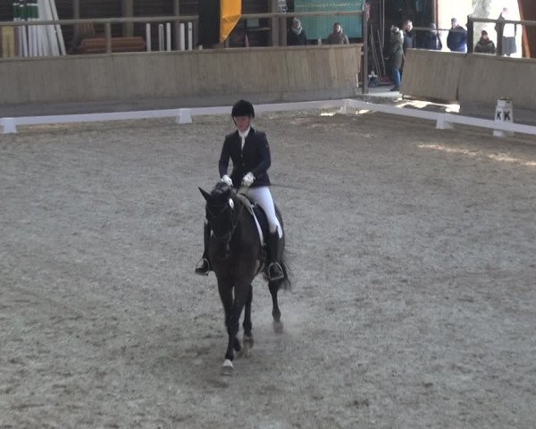 Reitturnier Heidelberg-Kirchheim 2018