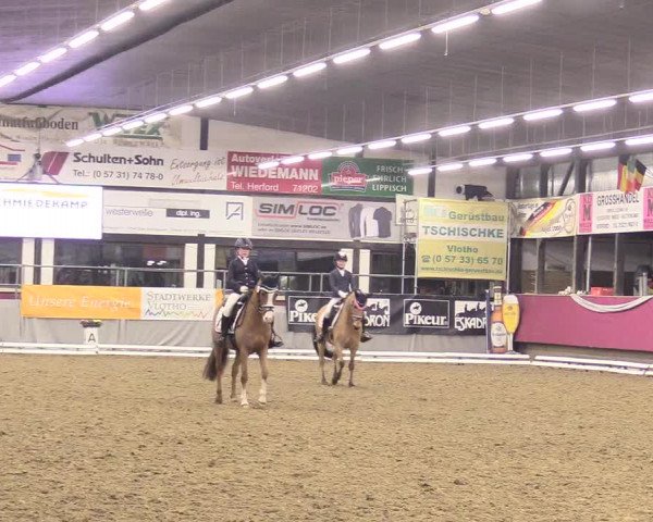 Reitturnier Vlotho-Exter 2018