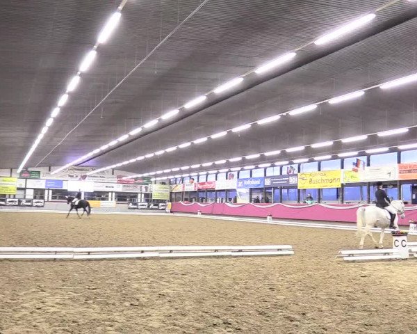 Reitturnier Vlotho-Exter 2018