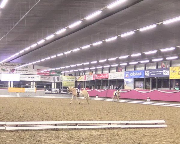 Reitturnier Vlotho-Exter 2018