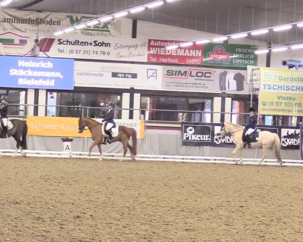 Reitturnier Vlotho-Exter 2018
