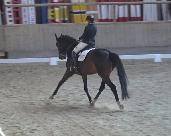 Reitturnier Heidelberg-Kirchheim 2018