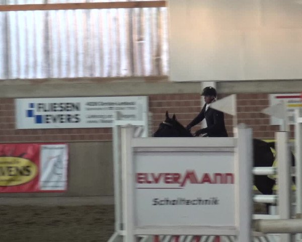 Reitturnier Lembeck 2018