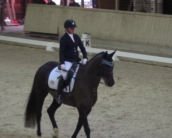 Reitturnier Heidelberg-Kirchheim 2018