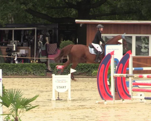 Equus Colonius - Reitanlage Brüse Köln 2021