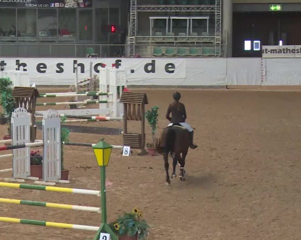 Reitturnier Kreuth 2018