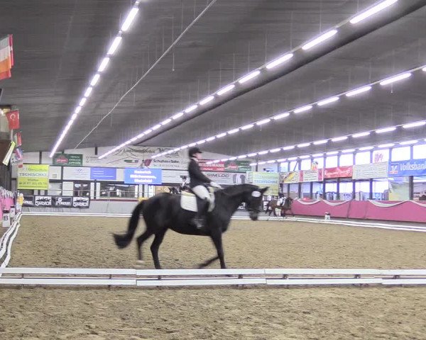 Reitturnier Vlotho-Exter 2018