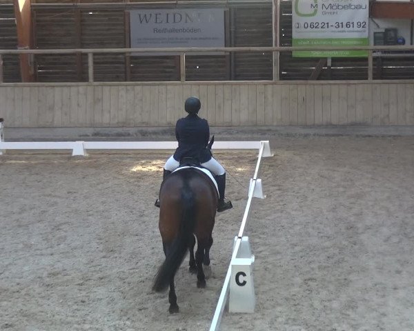 Reitturnier Heidelberg-Kirchheim 2018