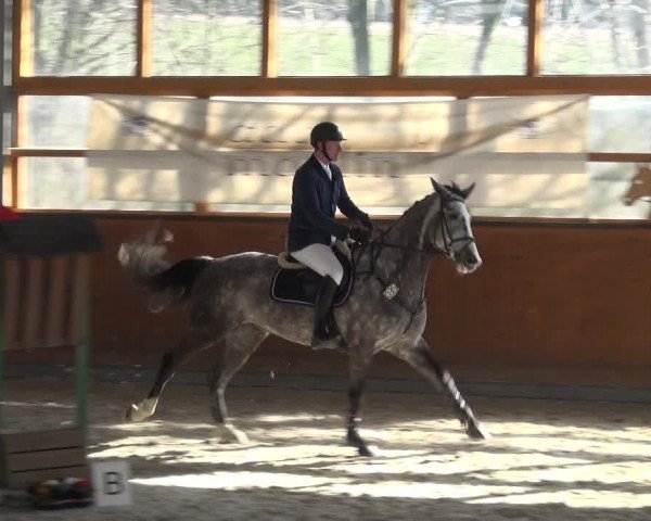 Reitturnier Leichlingen-Witzhelden 2018