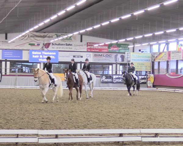 Reitturnier Vlotho-Exter 2018