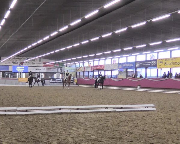 Reitturnier Vlotho-Exter 2018
