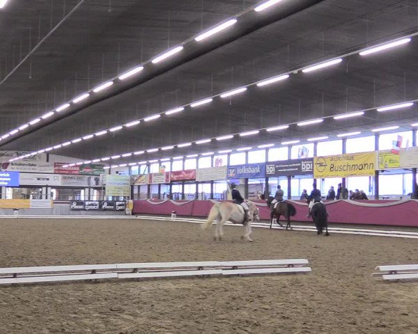 Reitturnier Vlotho-Exter 2018