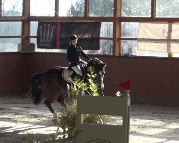 Reitturnier Leichlingen-Witzhelden 2018