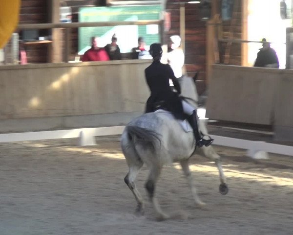 Reitturnier Heidelberg-Kirchheim 2018