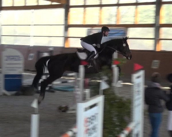 Reitturnier Leichlingen-Witzhelden 2018