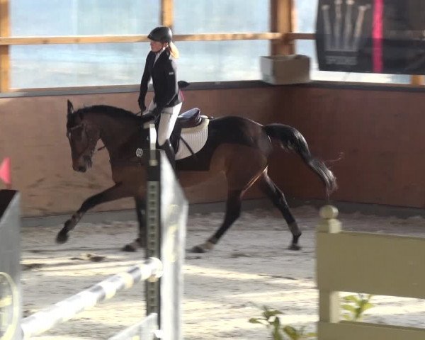 Reitturnier Leichlingen-Witzhelden 2018
