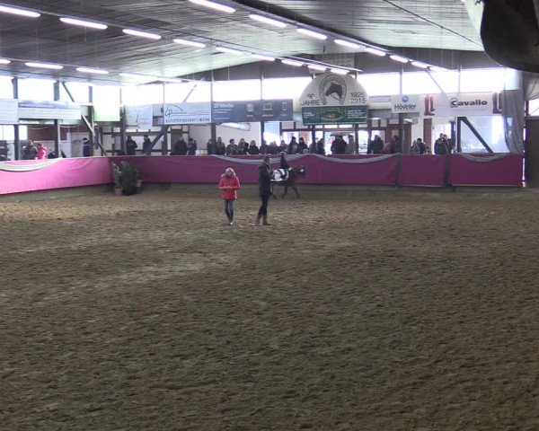Reitturnier Vlotho-Exter 2018