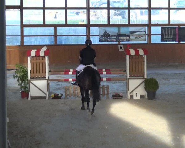 Reitturnier Leichlingen-Witzhelden 2018