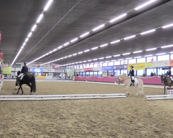 Reitturnier Vlotho-Exter 2018