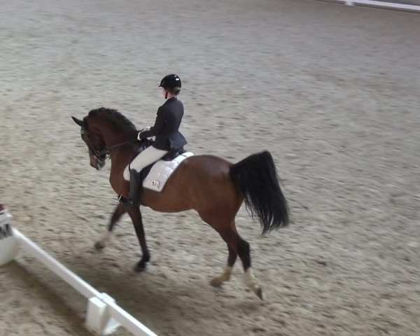 Reitturnier Heidelberg-Kirchheim 2018