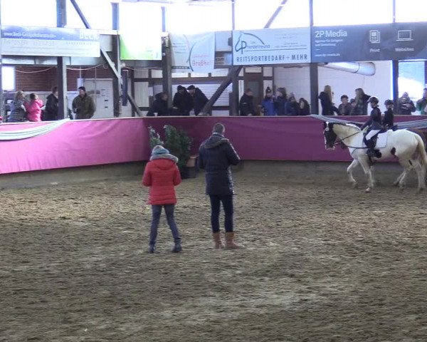 Reitturnier Vlotho-Exter 2018