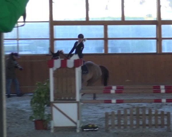 Reitturnier Leichlingen-Witzhelden 2018