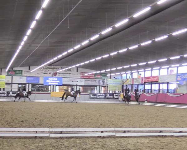 Reitturnier Vlotho-Exter 2018