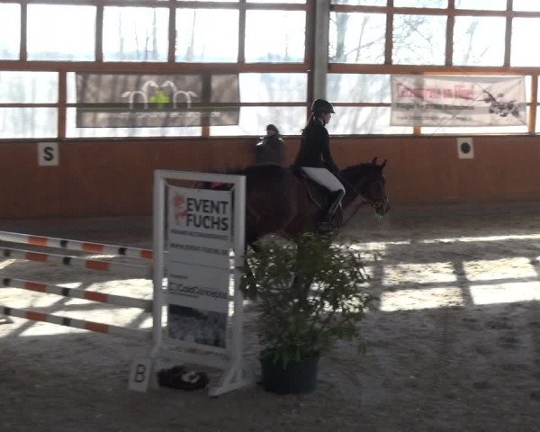 Reitturnier Leichlingen-Witzhelden 2018