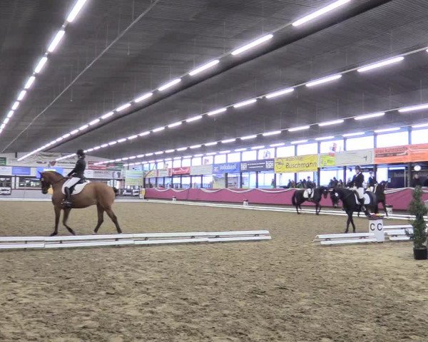 Reitturnier Vlotho-Exter 2018