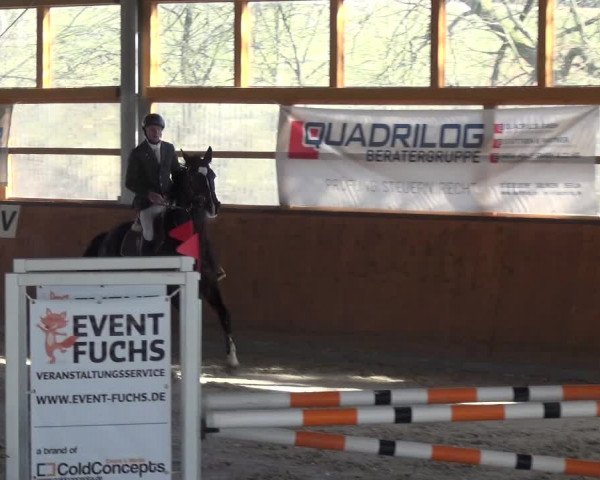 Reitturnier Leichlingen-Witzhelden 2018