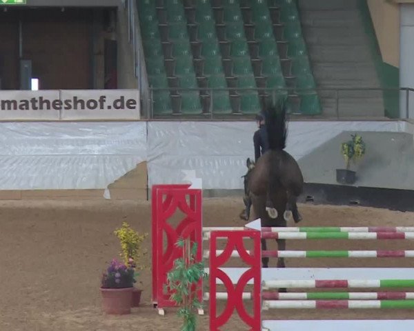 Reitturnier Kreuth 2018
