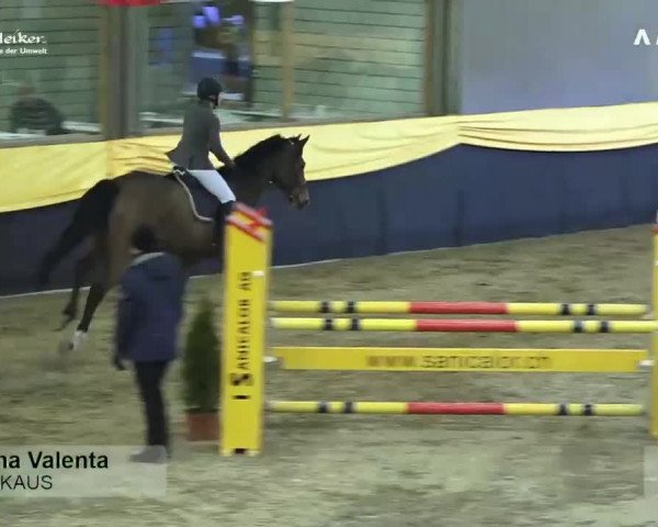 Pferdesporttage Erlen 2018
