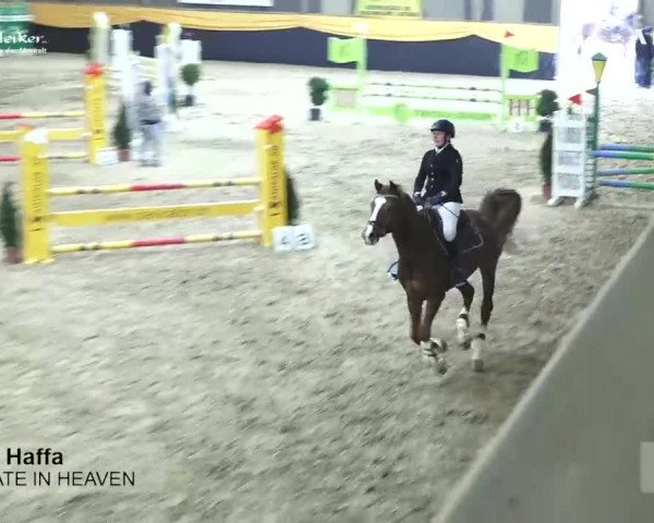 Pferdesporttage Erlen 2018