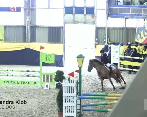 Pferdesporttage Erlen 2018