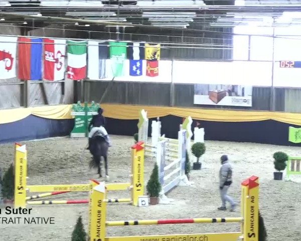 Pferdesporttage Erlen 2018