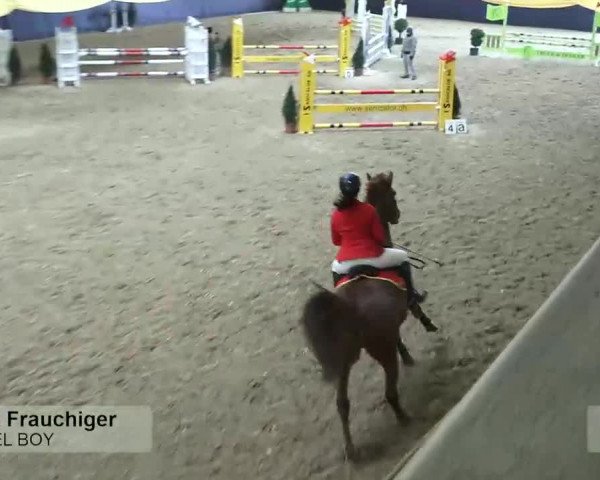 Pferdesporttage Erlen 2018