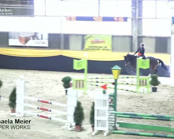 Pferdesporttage Erlen 2018